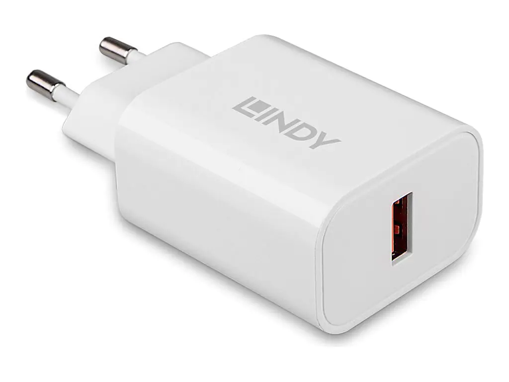 Lindy 73412, Drinnen, Draußen, AC, 12 V, Weiß