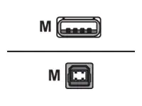 LogiLink - USB-Kabel - USB (M) zu USB Typ B (M) - USB 2.0 - 3 m