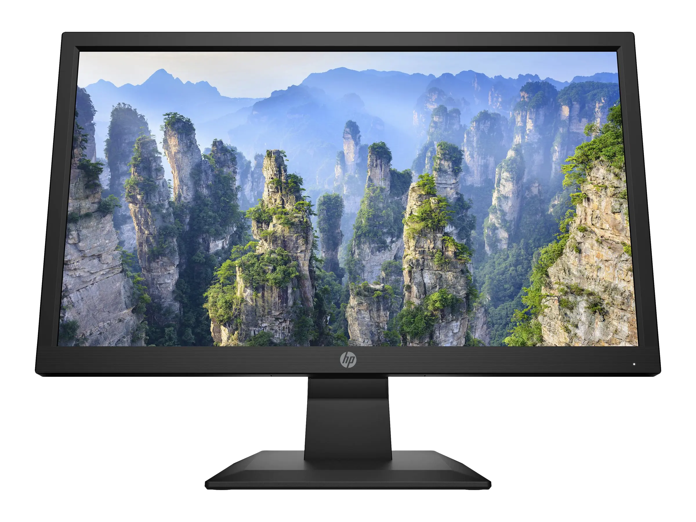 HP V20 - LCD-Monitor - 50.8 cm (20") - 1600 x 900 HD+ @ 60 Hz