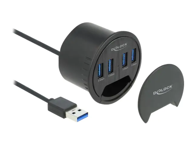 Delock Hub - 4 x USB 3.2 Gen 1 - für Unterputzmontage
