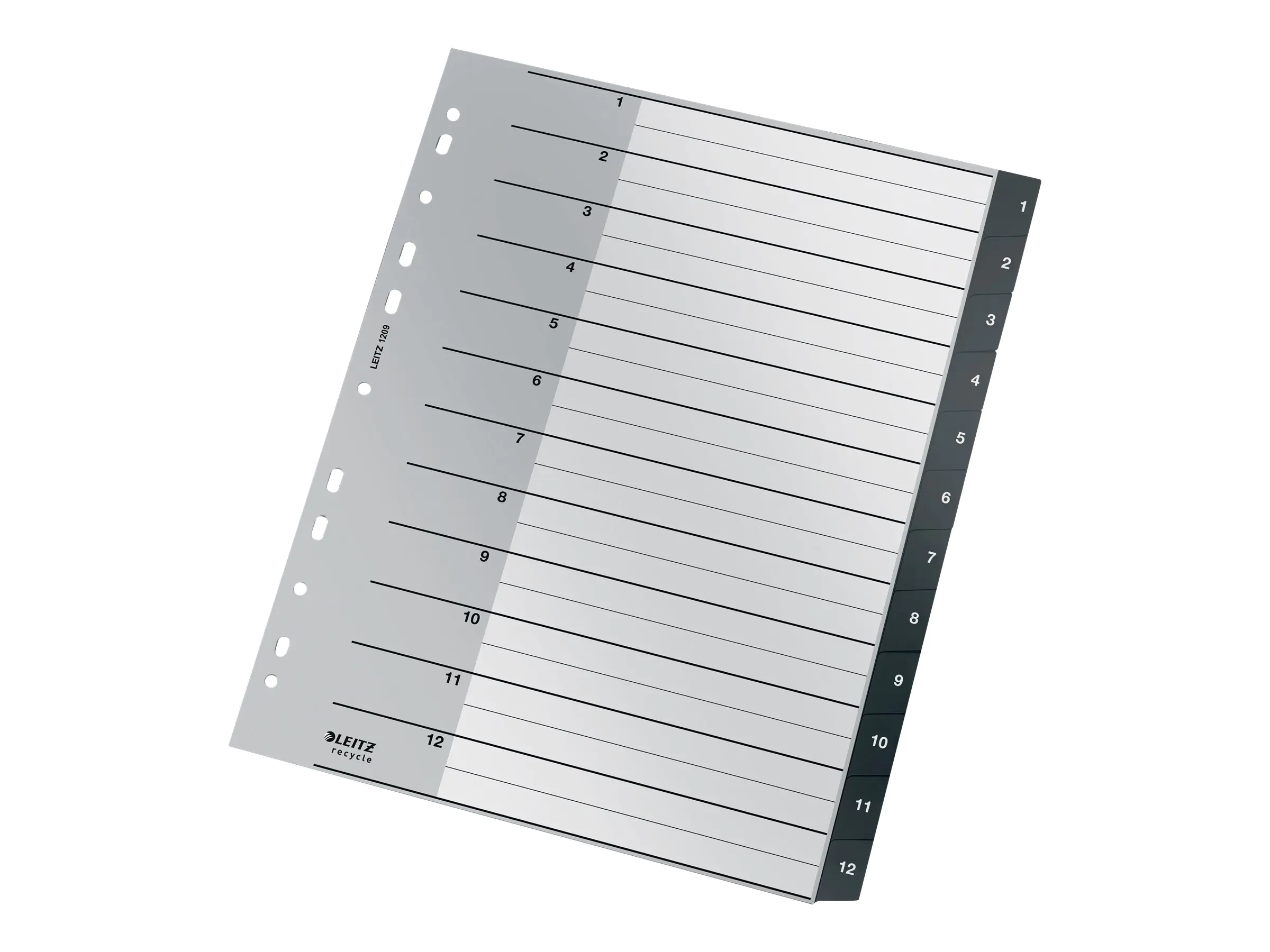Esselte Leitz Recycle - Trennelement - 12 Teile - vorgedruckt: 1209-00-00