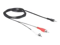 Delock - Audiokabel - Stereo Mini-Klinkenstecker männlich zu Stereo Mini-Klinkenstecker männlich - 5 m - Schwarz