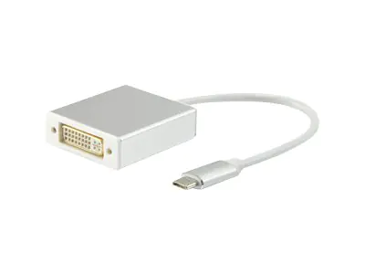 equip - Externer Videoadapter - USB-C - DVI