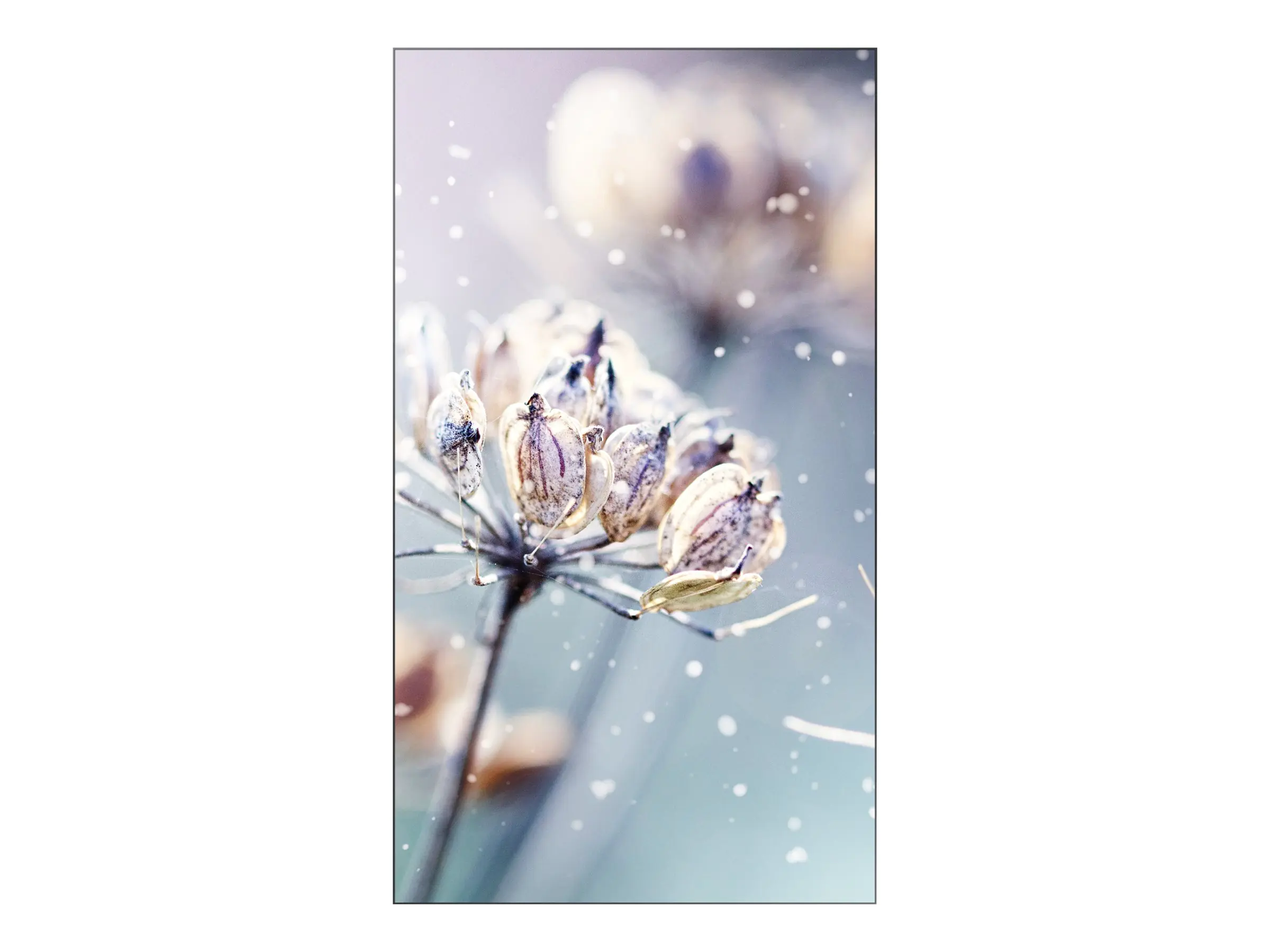 Samsung VM46R-U - 116 cm (46") Diagonalklasse