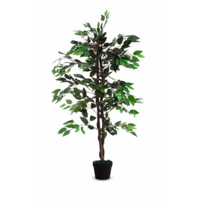 Paperflow Zimmerpflanze Feigenbaum 100 x 120 cm (B x H) Polyester/Holz grün