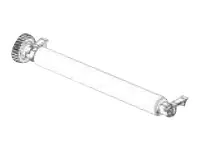Zebra - Druckwalze 300 DPI - für Zebra ZD621d
