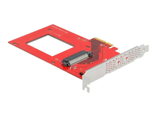 Delock - Schnittstellenadapter - 2.5" (6.4 cm) - U.3 NVMe - PCIe 4.0 x4
