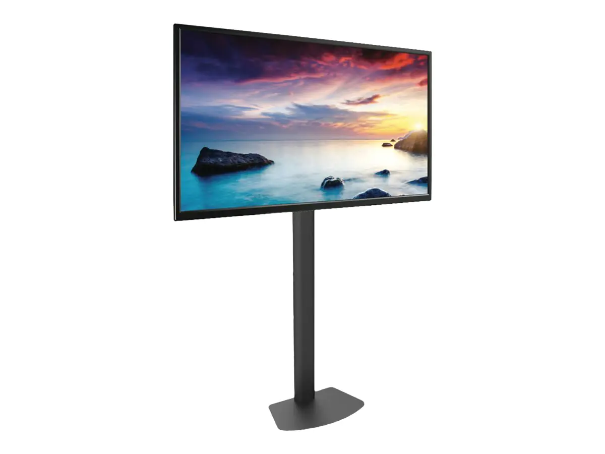 TECHly - Aufstellung - für LCD-Display - Schwarz - Bildschirmgröße: 81.3-139.7 cm (32"-55") - Bodenaufstellung
