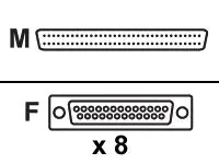 Perle Systems Perle - Serieller Adapter (DTE) - DB-25 (W)