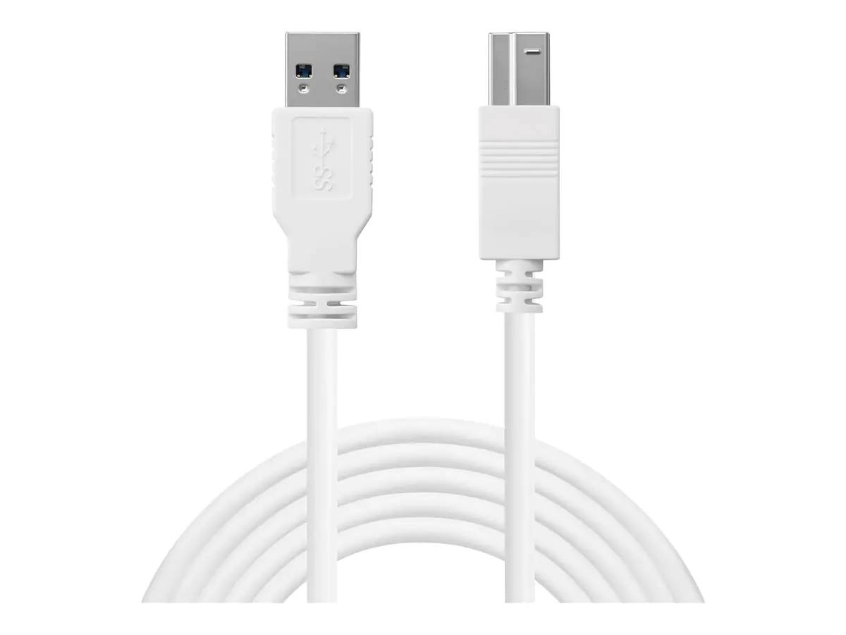 SANDBERG USB-Kabel - USB Typ A (M) zu USB Type B (M)