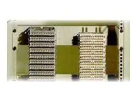 Rittal Rackmontagesatz - Hellgrau - 2U - 48.3 cm (19")