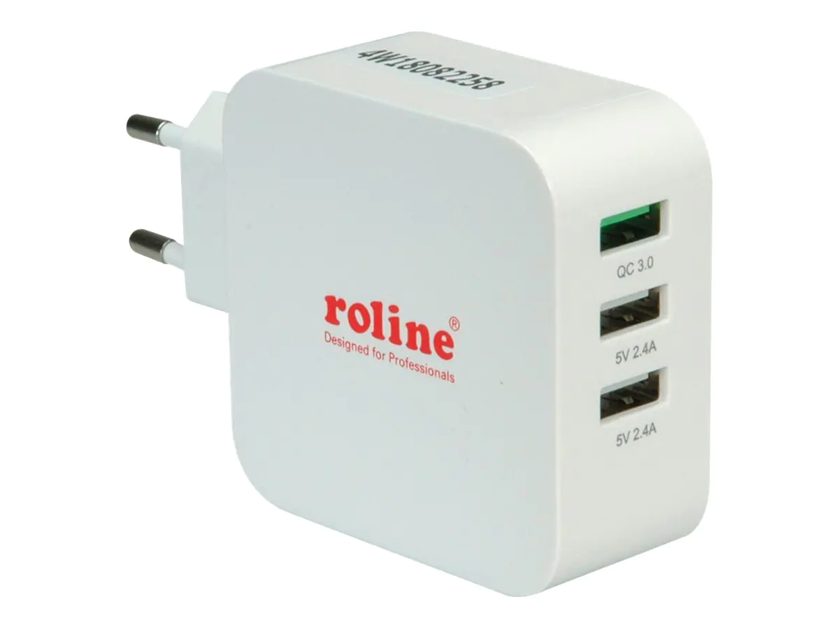 ROLINE 19.11.1033 - Outdoor - AC - 12 V - Grau