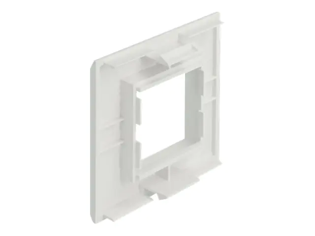Delock - Easy 45 - Rahmen - 2 Module - weiß, RAL 9003