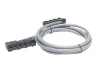 APC Netzwerkkabel - RJ-45 (W) zu RJ-45 (W)