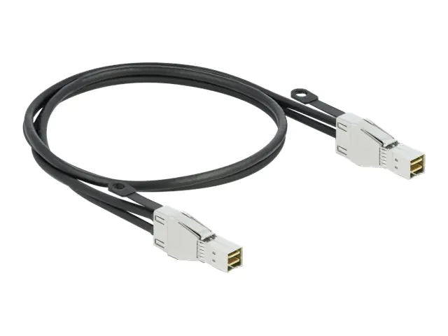 Delock Externes SAS-Kabel - SAS 32Gbit/s - Mini SAS HD (SFF-8674)