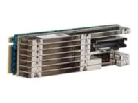 Brocade Broadcom MegaRAID 9524-8i - Speichercontroller (RAID)