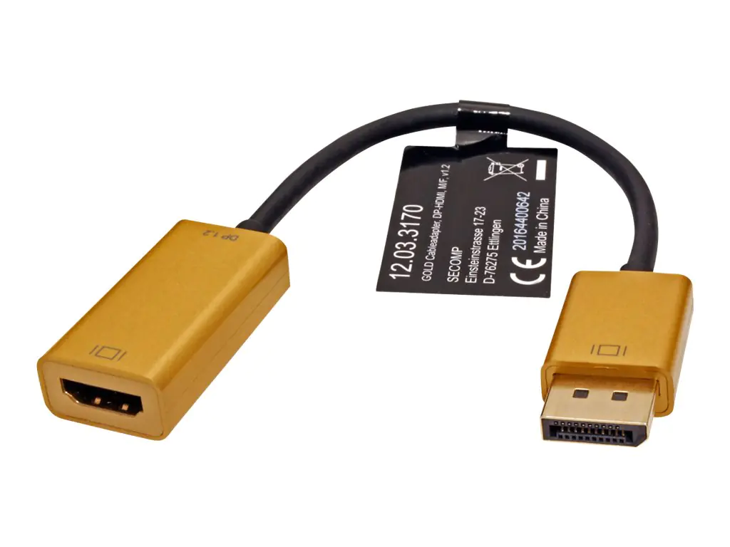 ROLINE Gold - Adapterkabel - DisplayPort männlich