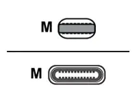 ROTRONIC-SECOMP Roline - Lightning-Kabel - USB-C männlich zu