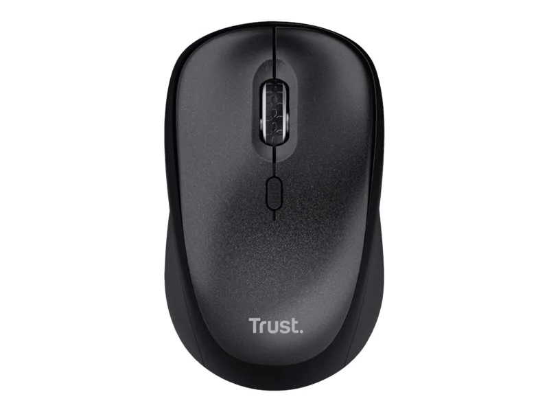 Trust TM-201 - Maus - leise - Für Rechtshänder - optisch - 4 Tasten - kabellos - 2.4 GHz - kabelloser Empfänger (USB) 24706