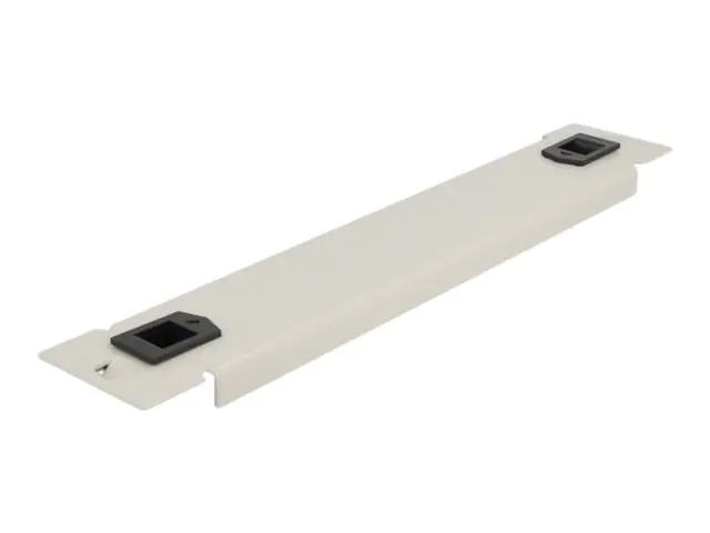 Delock - Rack-Blindabdeckungsplatte - Grau - 1U