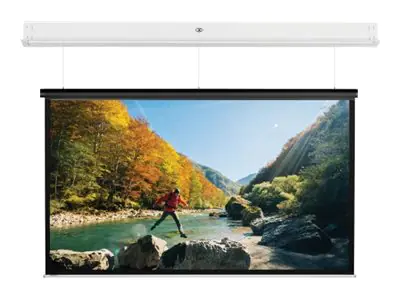Da-Lite Screen Da-Lite DescenderPro - Leinwand - Deckenmontage möglich - motorisiert - 230 V - 355