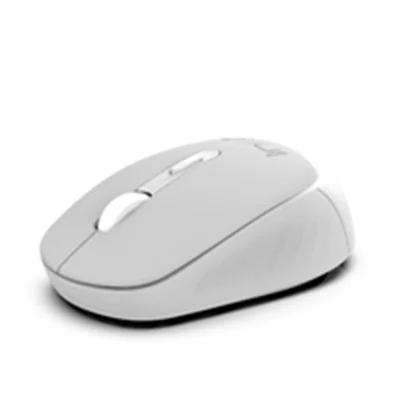 INCA IWM-243RG, Beidhändig, Optisch, RF Wireless, 1600 DPI, Grau