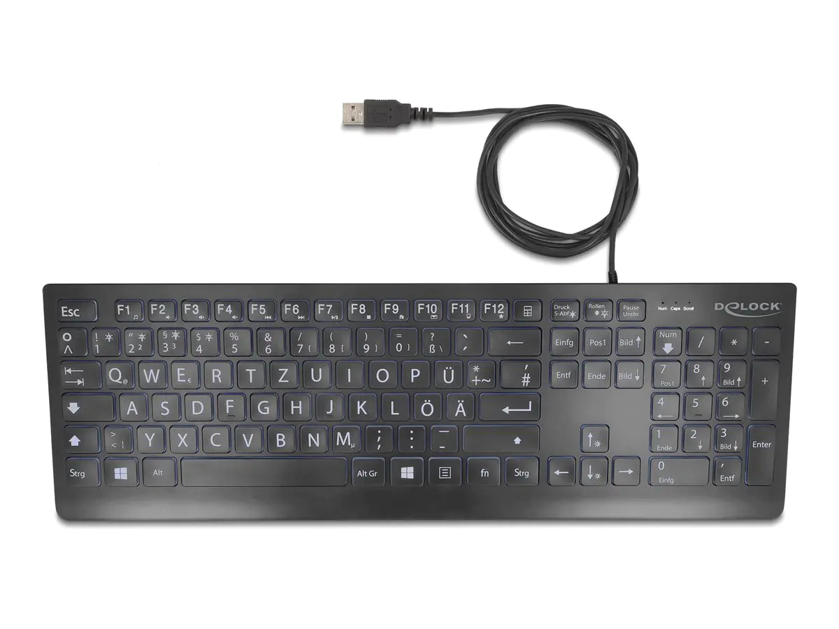 Delock - Tastatur - wired 1.5 m, with XXL letters - USB - QWERTZ - Deutsch - Schwarz - retail