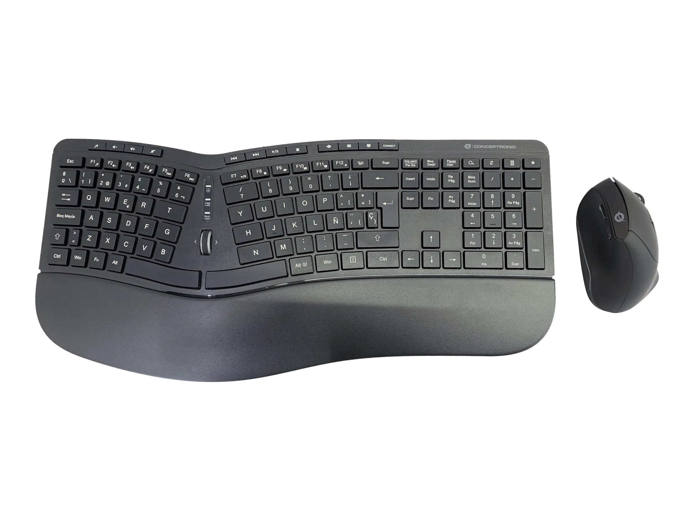 Conceptronic ORAZIO02ES ERGO - Tastatur-und-Maus-Set - kabellos - 2.4 GHz - Spanisch - Schwarz