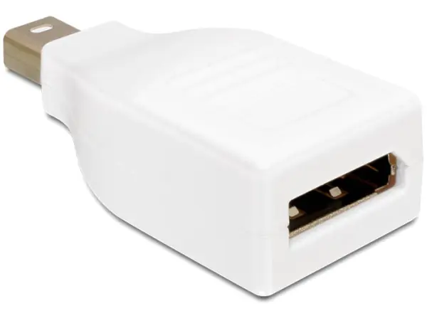 Delock - DisplayPort-Adapter - Mini DisplayPort (M) zu DisplayPort (W) - weiß