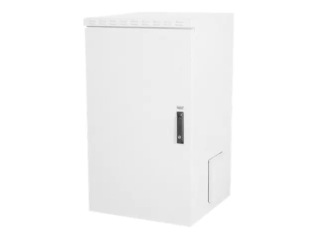 Digitus Professional - Schrank Netzwerkschrank - geeignet für Wandmontage - Hellgrau, RAL 7035 - 20U - 48.3 cm (19")