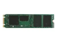 Intel Solid-State Drive DC S3110 Series - 256 GB SSD - intern - M.2 2280 - SSDSCKKI256G801