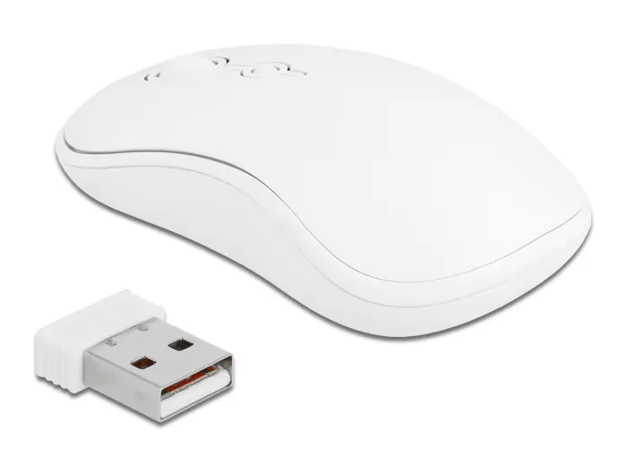 Delock Tastatur-und-Maus-Set - kabellos - 2.4 12703