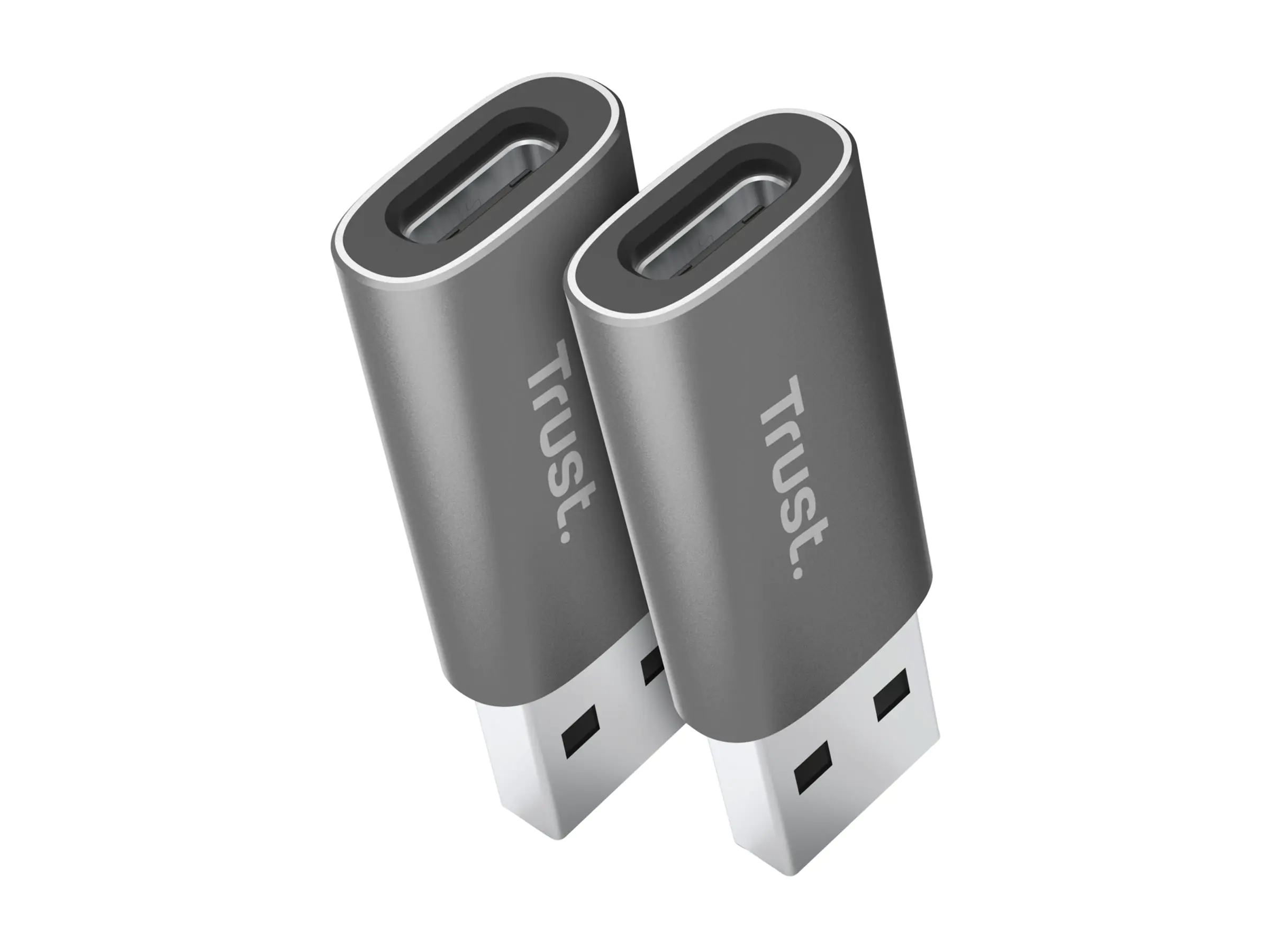 Trust Calyx - USB-Adapter - USB Typ A (M) zu 24 pin USB-C (W)