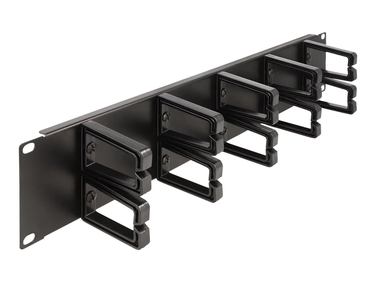 Delock Verlegetafel für Rack-Kabelmanagement - mit 10 Kunststoffhaken - Schwarz - 2U - 48.3 cm