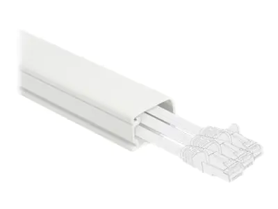 Delock - Kabelkanal mit Abdeckung - 1 m - weiß