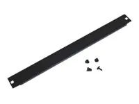 Triton - Rack - Leerkonsole - Schwarz, RAL 9005 - 4U - 48.3 cm (19")