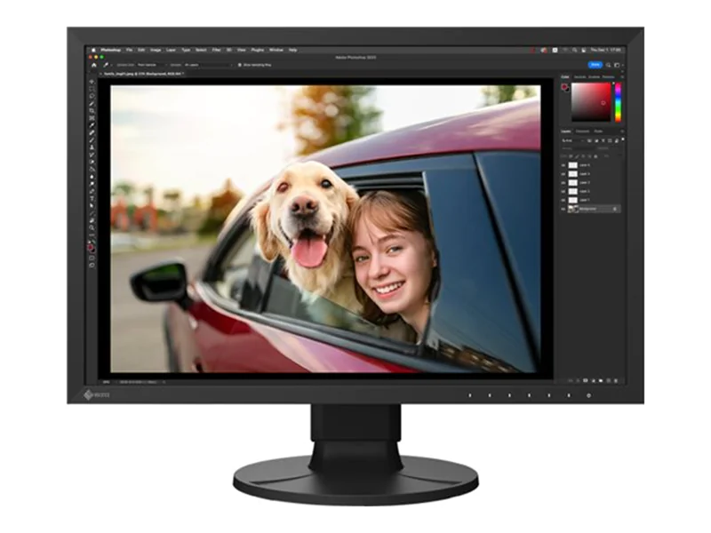 EIZO ColorEdge CS2400R - LED-Monitor - 61.1 cm (24.1")