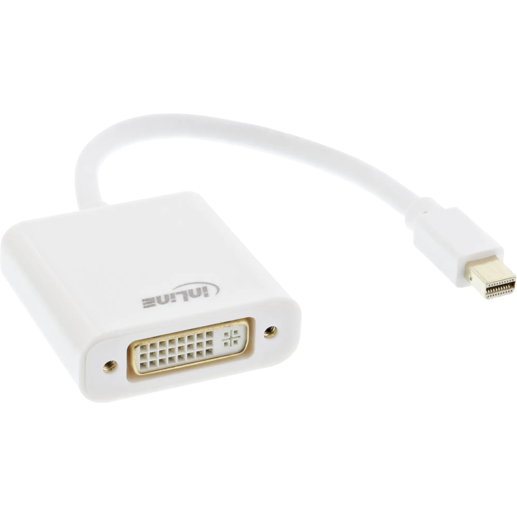 InLine - Videoadapter - Mini DisplayPort (M) zu DVI-D (W) - DisplayPort 1.2 - Passiv, 1200p-Unterstützung - weiß