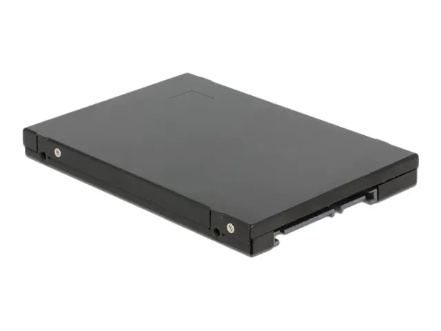 Delock Converter 22 pin > M.2 NGFF - Speicher-Controller