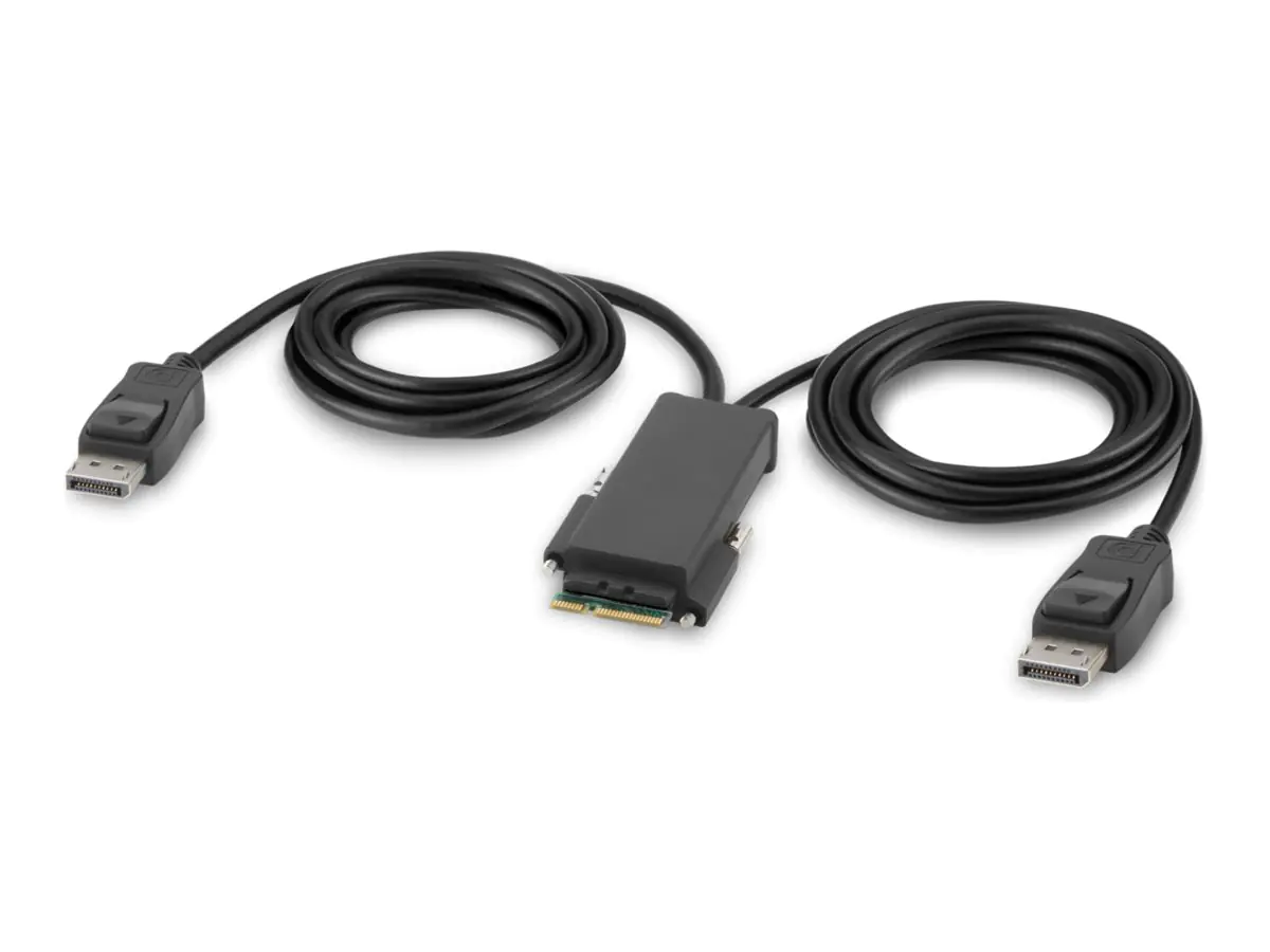 Belkin Modular Secure Dual Head - KVM-Switch F1DN204MOD-PP-4