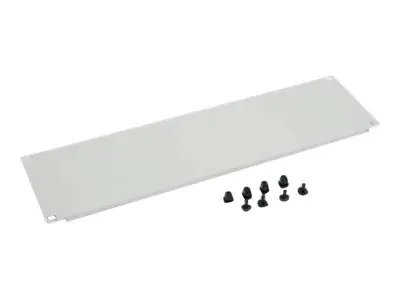 Triton - Rack - Leerkonsole - Grau, RAL 7035 - 2U - 48.3 cm (19")
