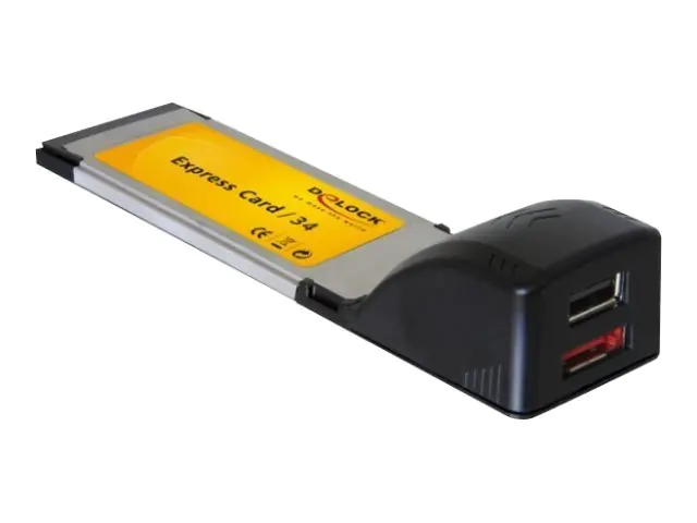 Delock Express Card to USB 2.0/eSATA - Speicher-Controller 66218