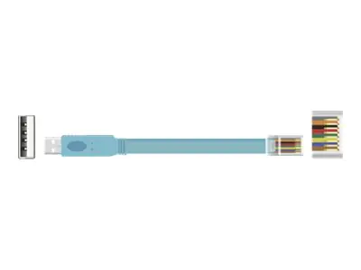 Delock - Kabel seriell - USB (M) zu RJ-45 (M) - 3 m - EIA-232 - Blau