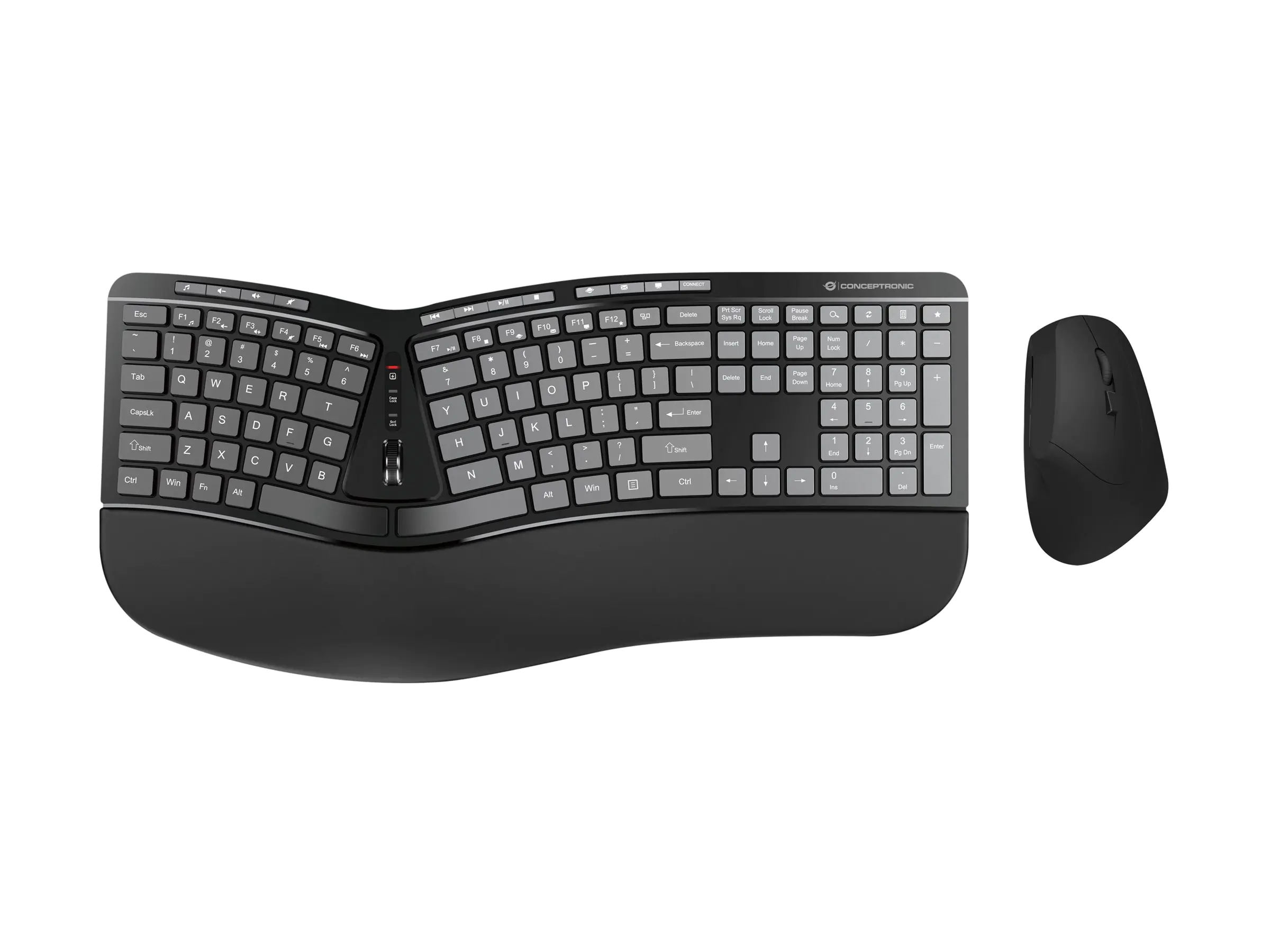 Conceptronic ORAZIO02US ERGO - Tastatur-und-Maus-Set