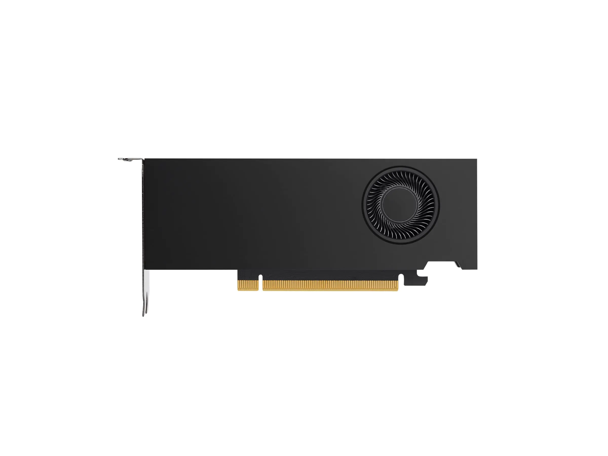 NVIDIA RTX A2000 - Grafikkarten - RTX A2000 - 12 GB GDDR6 - PCIe 4.0 x16 - 4 x Mini DisplayPort - für Workstation Z2 G9, Z4 G4, Z4 G5, Z6 G4, Z6 G5, Z8 G4, Z8 G5