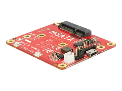 Delock - Speicher-Controller - mSATA - mSATA - 600 MBps - USB 2.0