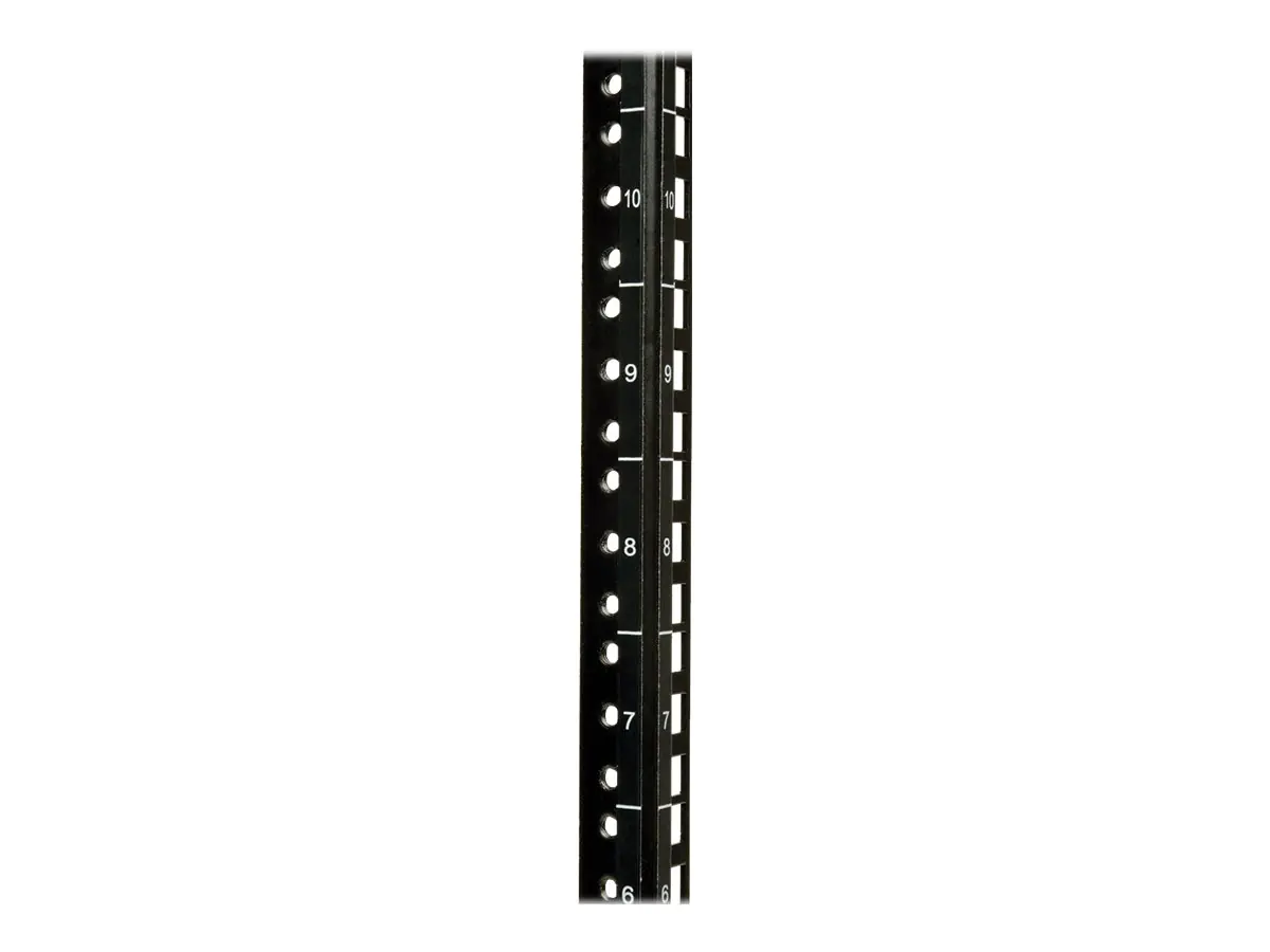Eaton Tripp Lite Series 12U Wall Mount Rack Enclosure Server Cabinet Swinging Hinged Door Deep - Schrank Netzwerkschrank - geeignet für Wandmontage - Schwarz - 12U - 48.3 cm (19")