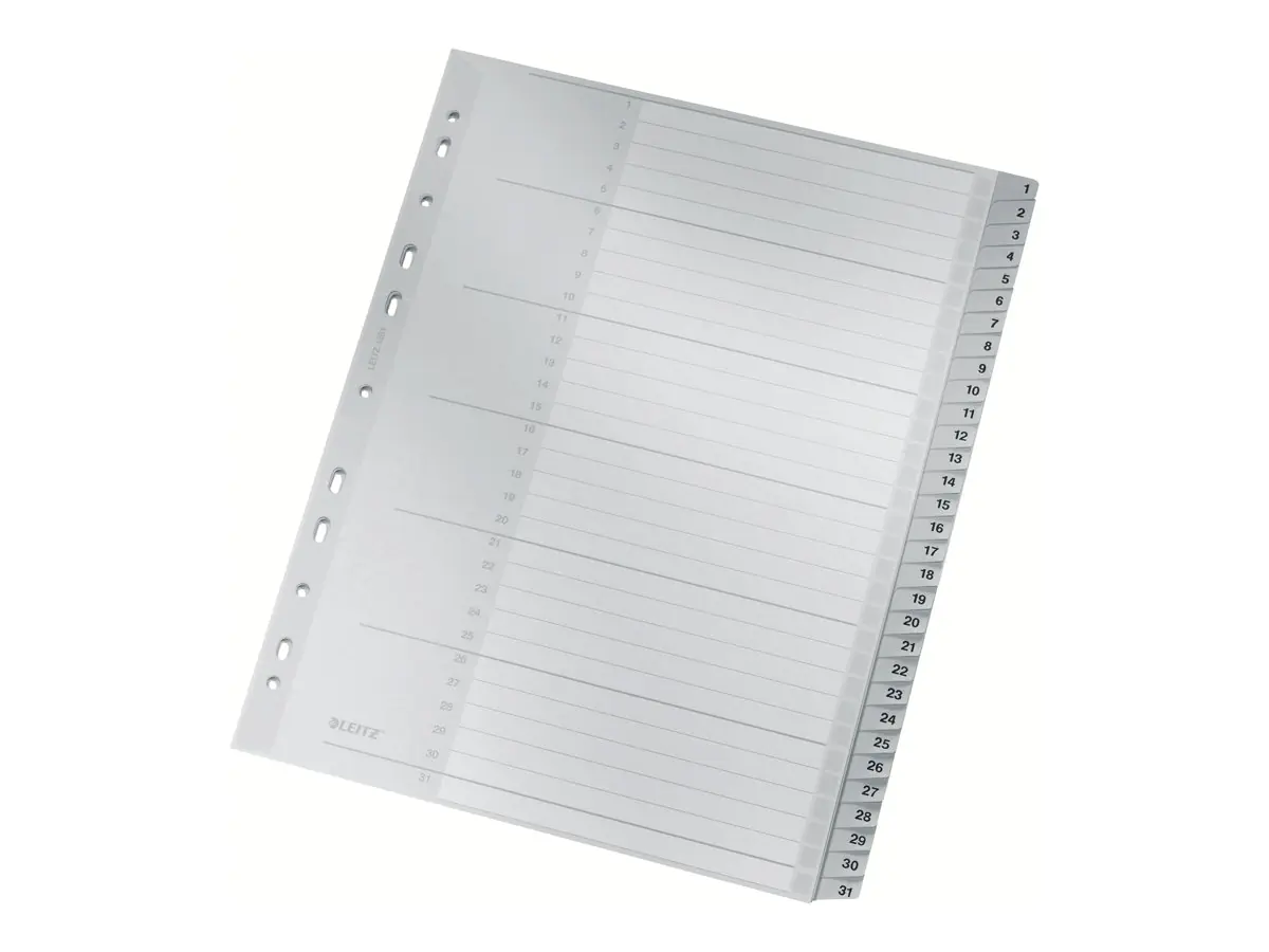 Esselte Leitz Trennelement - 31 Teile - vorgedruckt: 1-31 - für A4 (210 x 297 mm) 12810000