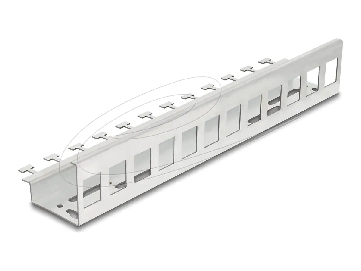 Delock Keystone-Adapter - Metall - DIN schienenmontierbar 90631