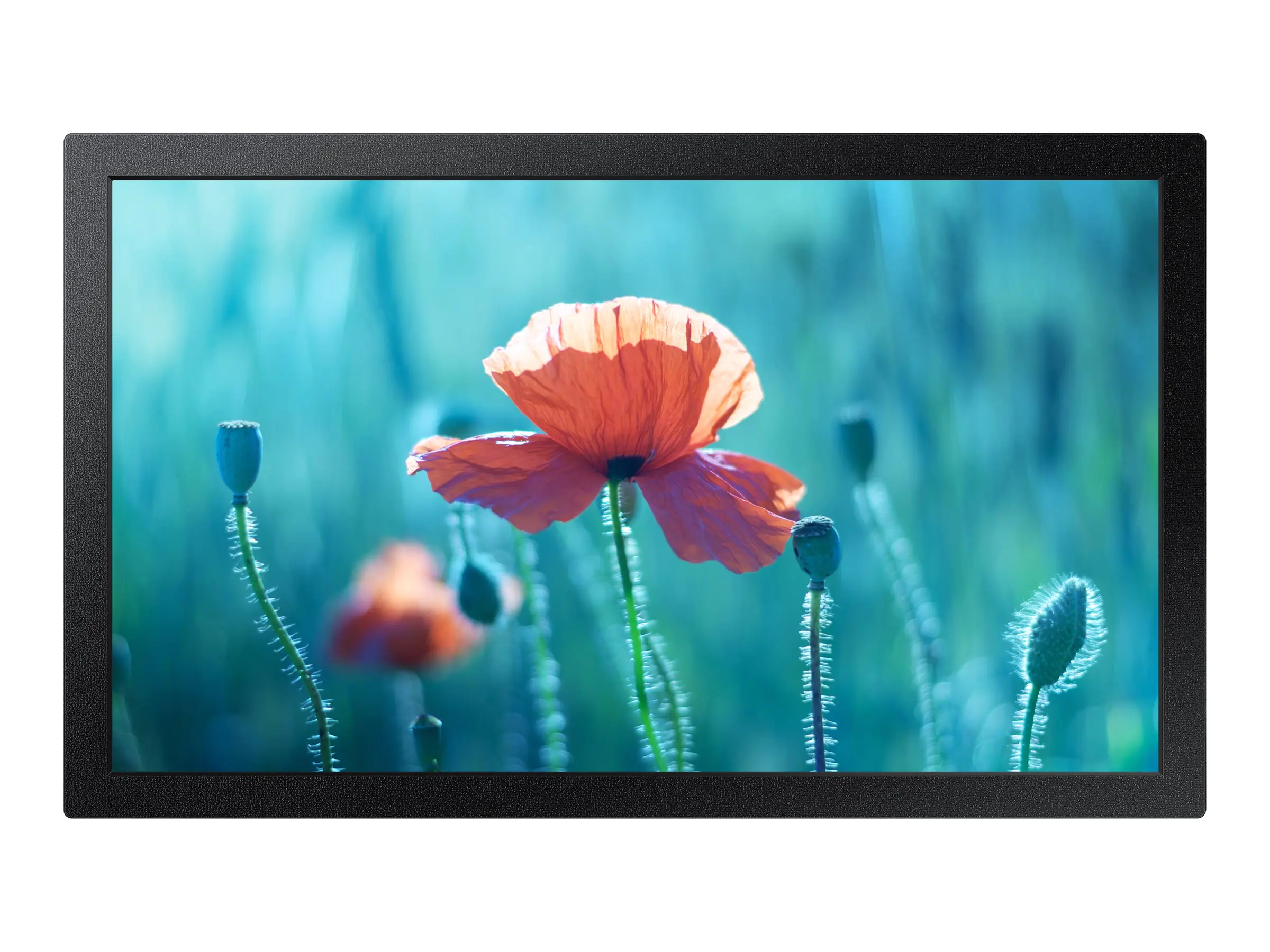 Samsung QB13R-M - 33 cm (13") Diagonalklasse QBR Series LED display unit - Digital Signage - Tizen OS - 1080p 1920 x 1080 - Schwarz